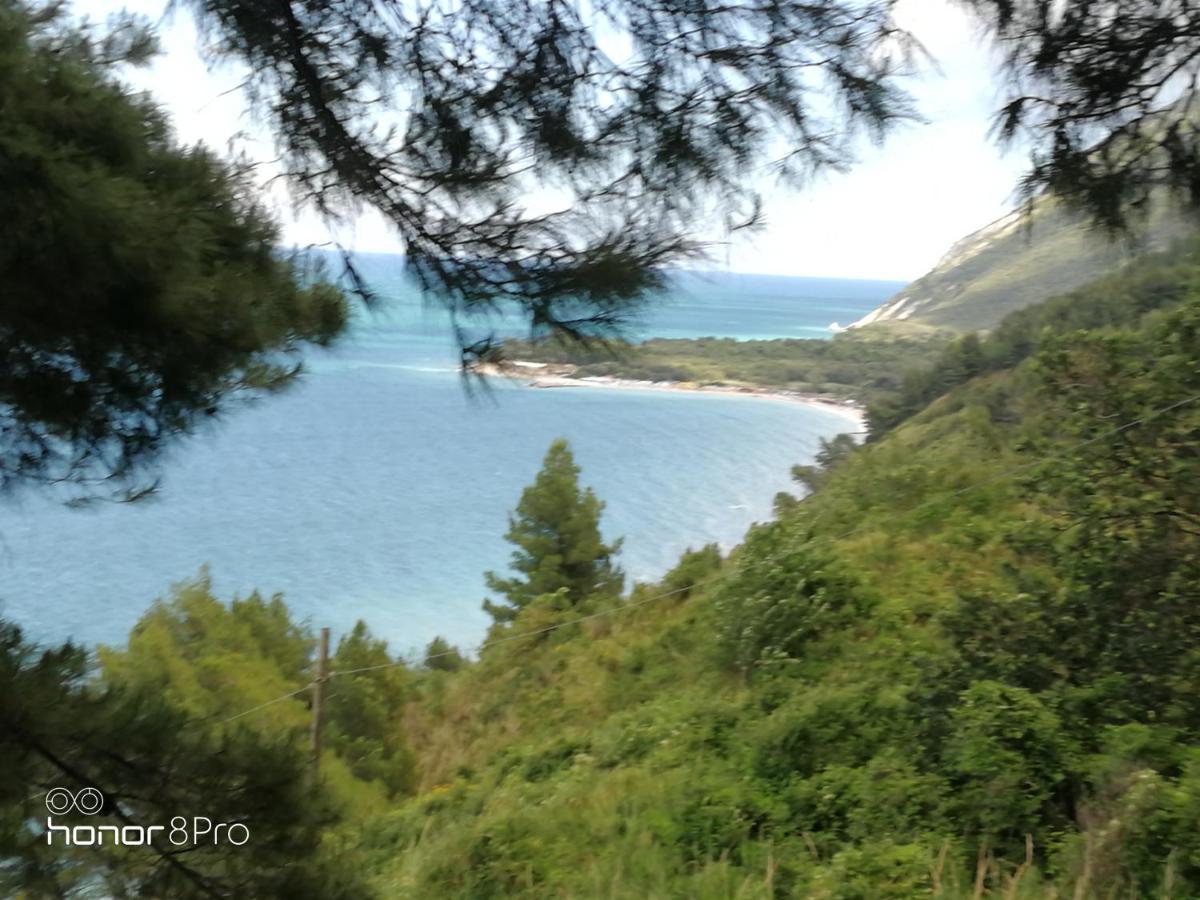 Casa Viorica Ξενοδοχείο Ανκόνα Εξωτερικό φωτογραφία